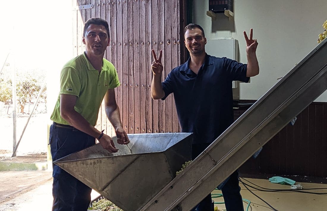 Bodega Entre Lindes Futuro