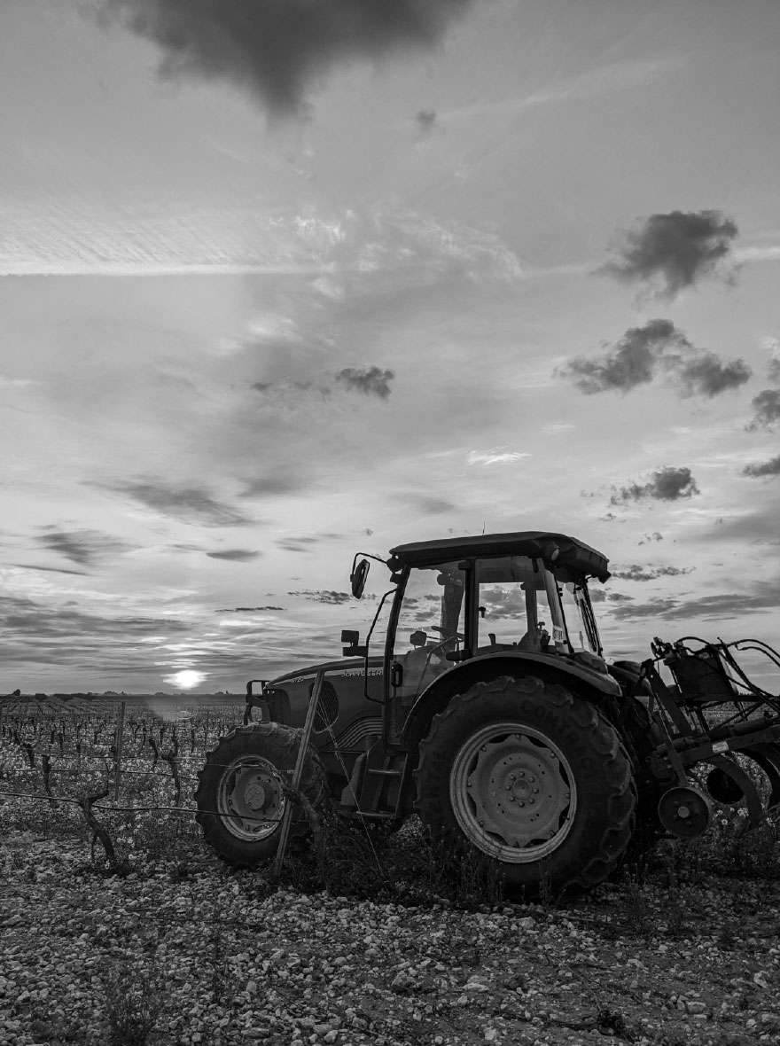 Bodega Entre Lindes viñedos